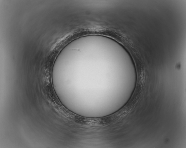 X0000116381205200912161453