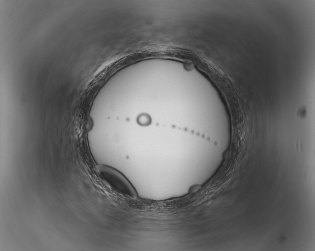 X0000116381206200912161453