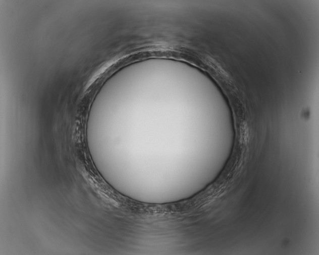 X0000116381208200912161453