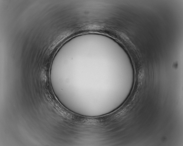 X0000116381209200912161453