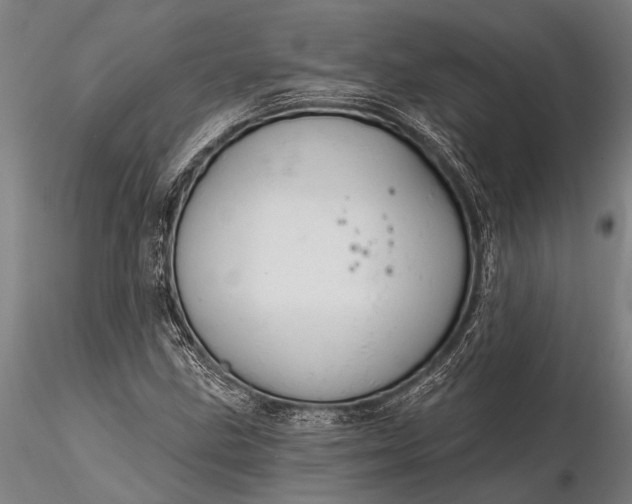 X0000116381211200912161453