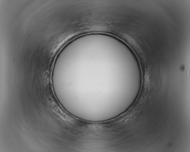 X0000116381212200912161453