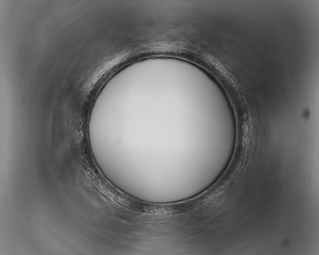 X0000116381213200912161453