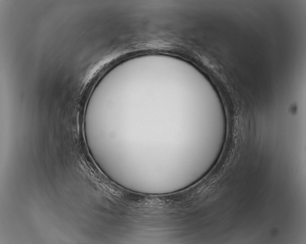 X0000116381214200912161453