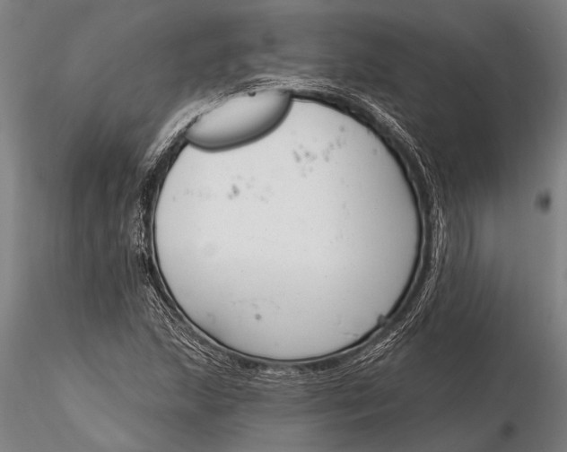 X0000116381215200912161453