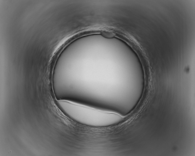 X0000116381216200912161453