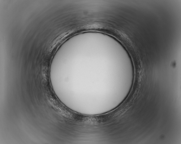 X0000116381217200912161453