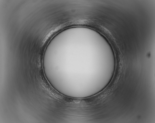 X0000116381218200912161453