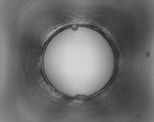 X0000116381220200912161453