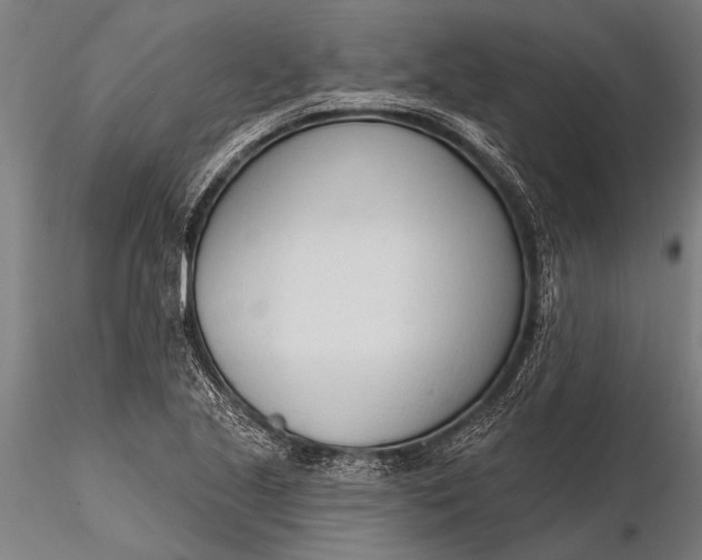 X0000116381221200912161453