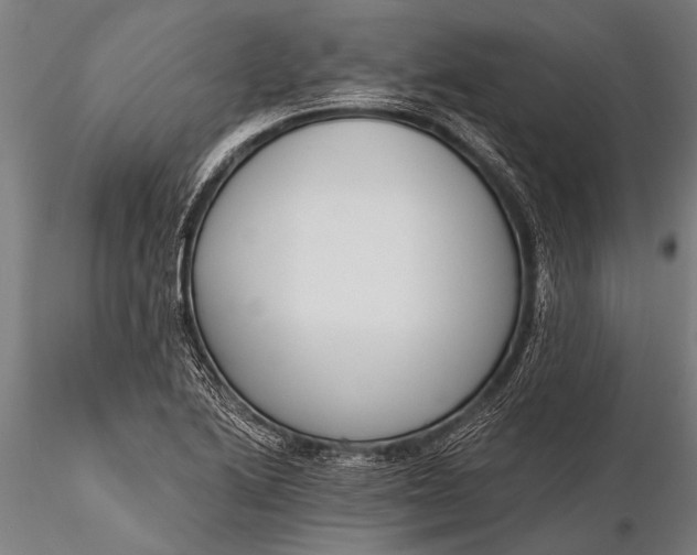 X0000116381222200912161453