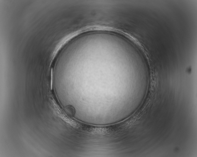 X0000116381223200912161453