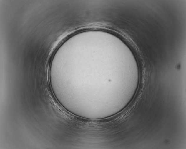 X0000116381224200912161453