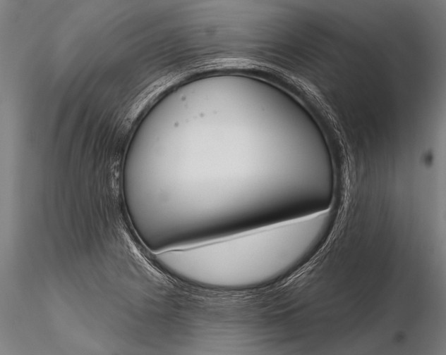 X0000116381225200912161453