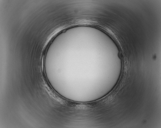 X0000116381227200912161453