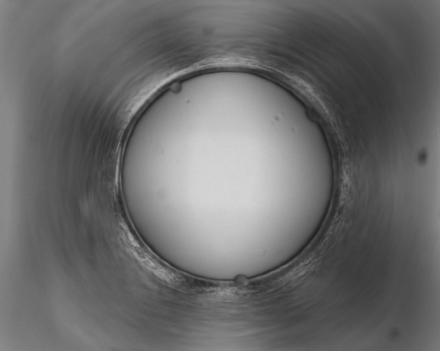 X0000116381228200912161453