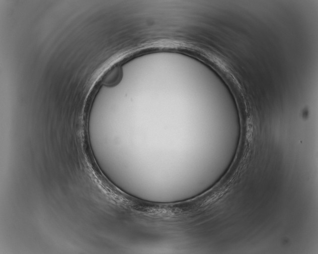 X0000116381229200912161453
