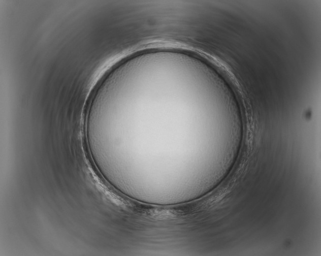 X0000116381231200912161453