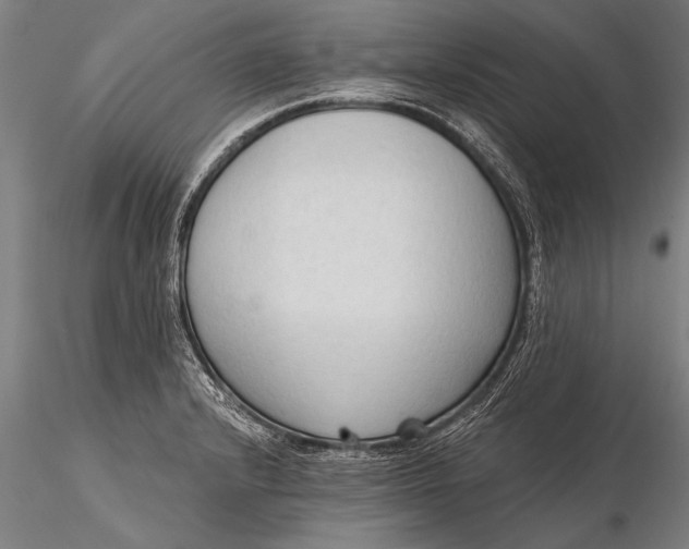 X0000116381232200912161453