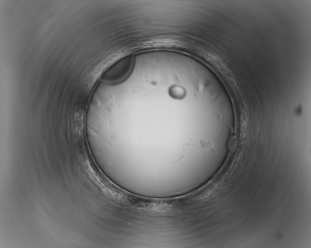 X0000116381233200912161453