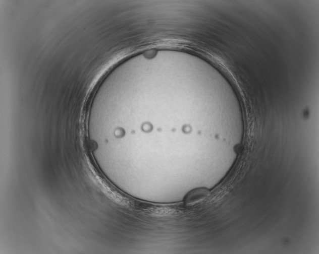 X0000116381235200912161453