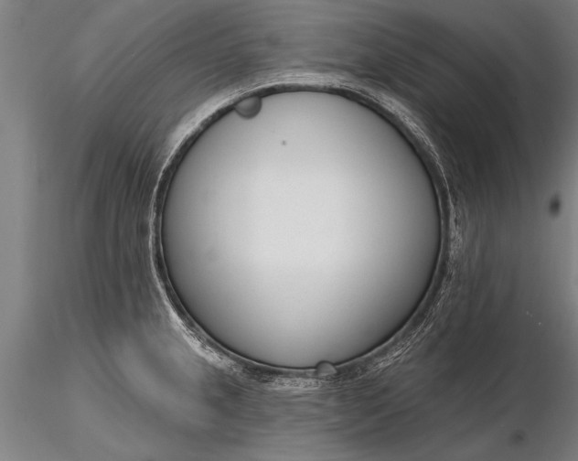 X0000116381237200912161453