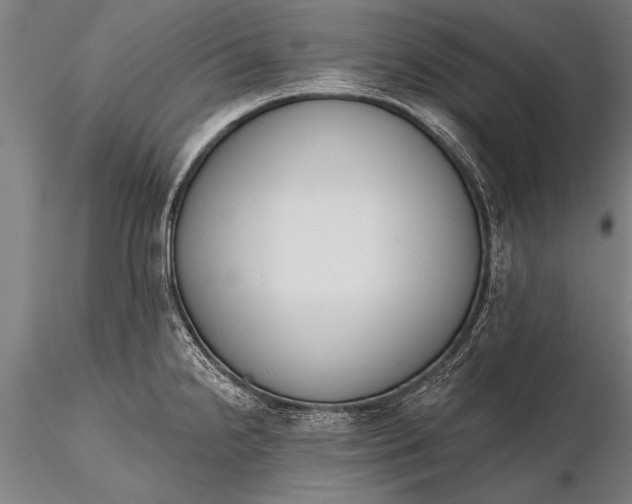 X0000116381238200912161453