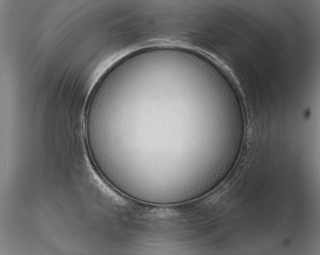 X0000116381239200912161453