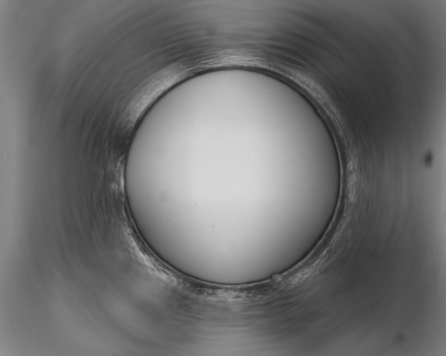 X0000116381241200912161453