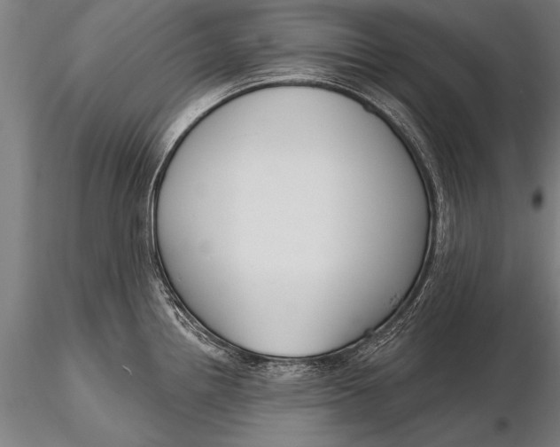 X0000116381242200912161453