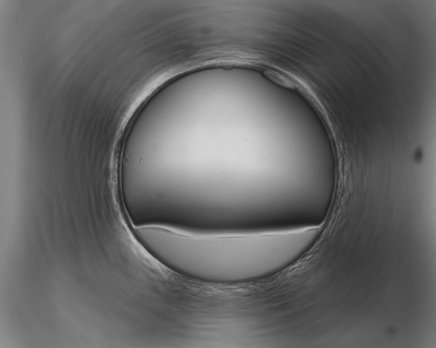 X0000116381243200912161453