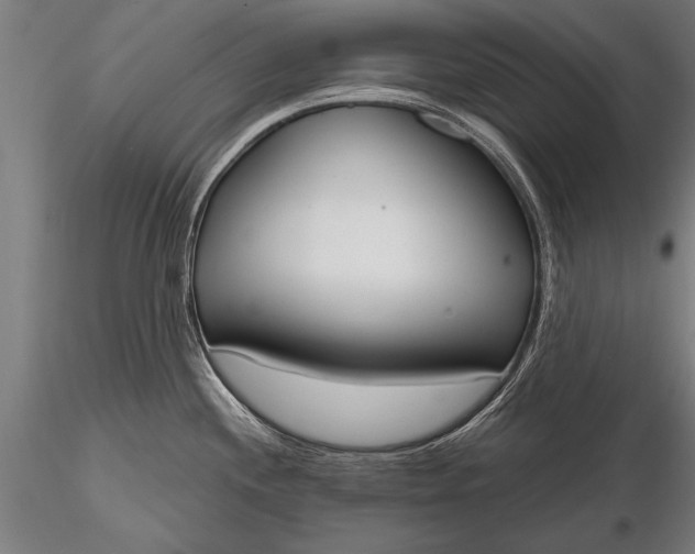 X0000116381244200912161453