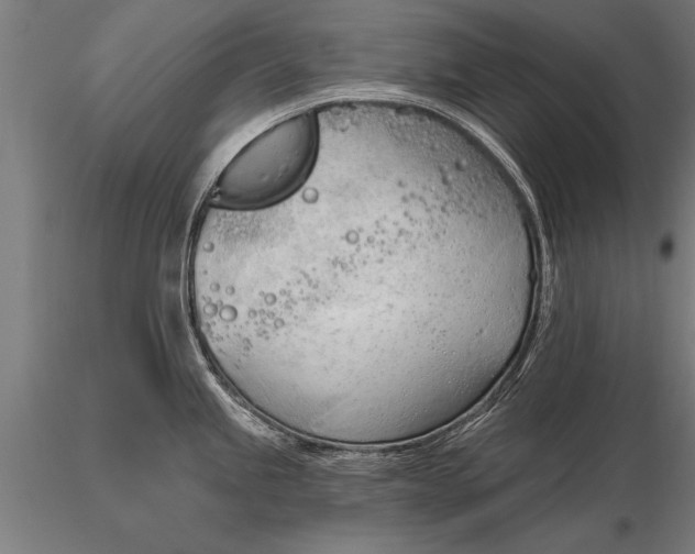 X0000116381245200912161453