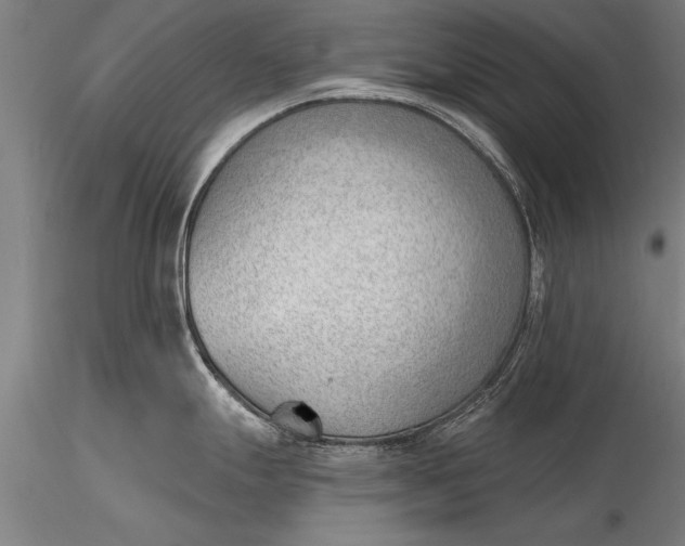 X0000116381247200912161453