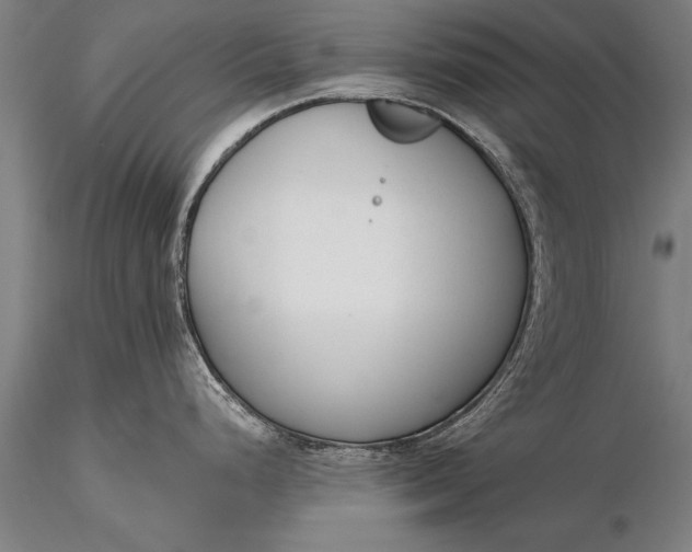 X0000116381248200912161453