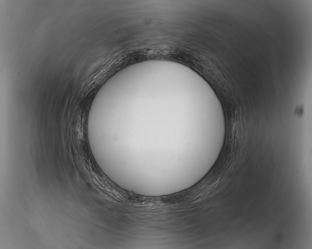 X0000116381250200912161453