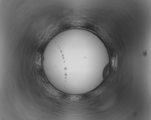 X0000116381251200912161453