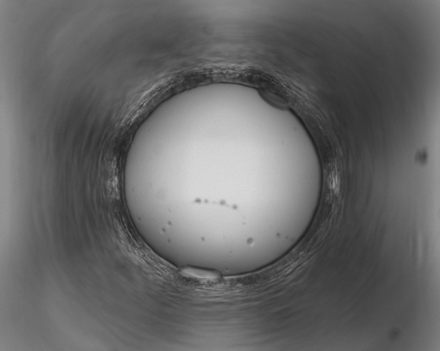 X0000116381252200912161453