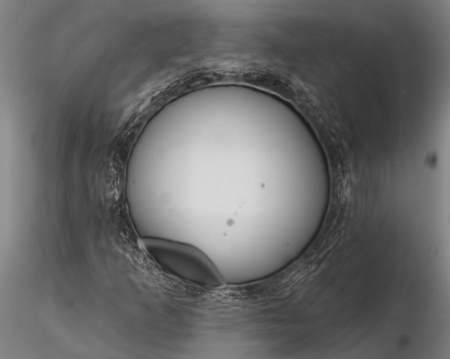 X0000116381253200912161453