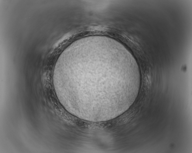 X0000116381254200912161453