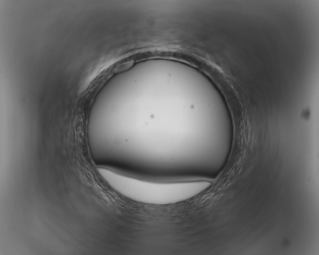 X0000116381255200912161453