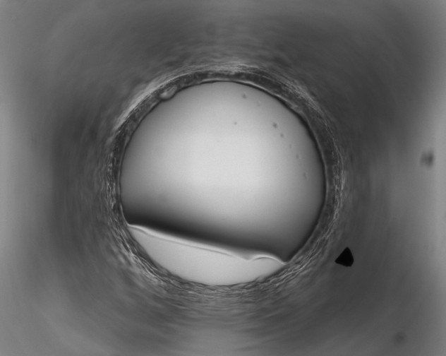 X0000116381256200912161453