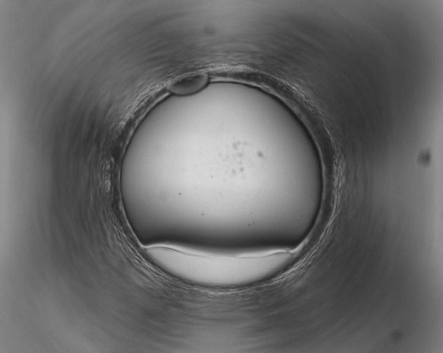 X0000116381257200912161453