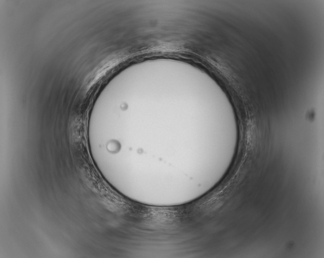 X0000116381258200912161453