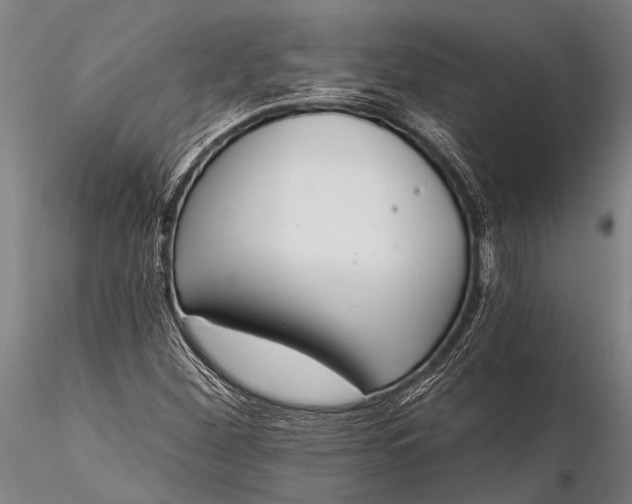 X0000116381260200912161453