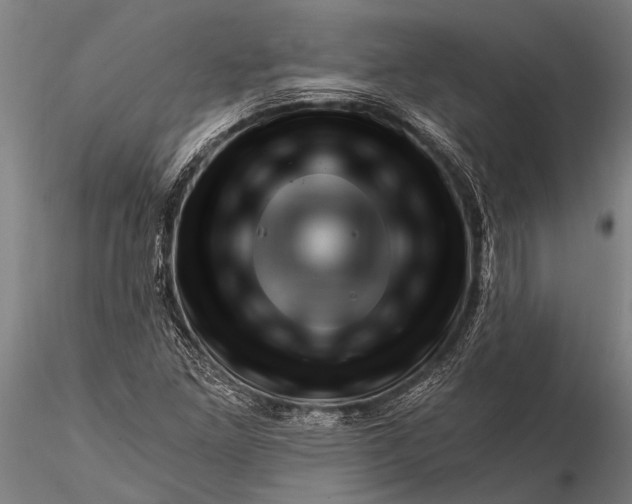 X0000116381261200912161453