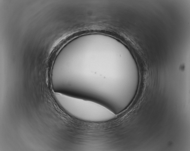 X0000116381262200912161453