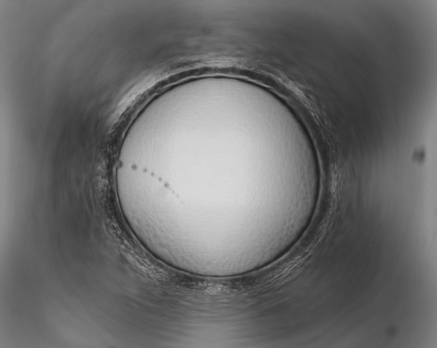 X0000116381263200912161453