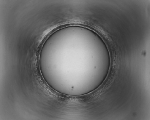 X0000116381264200912161453