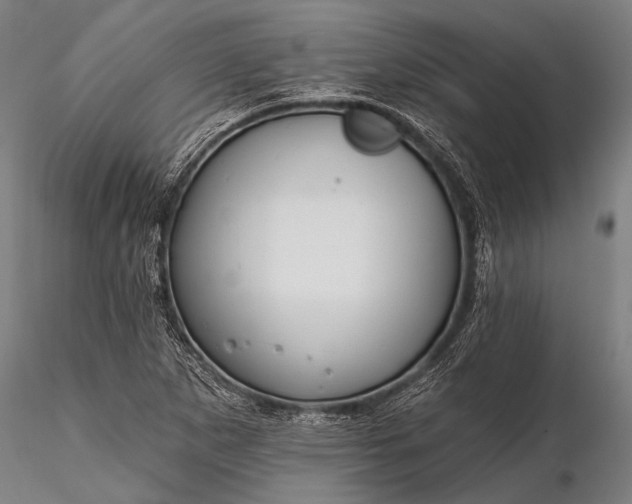 X0000116381265200912161452